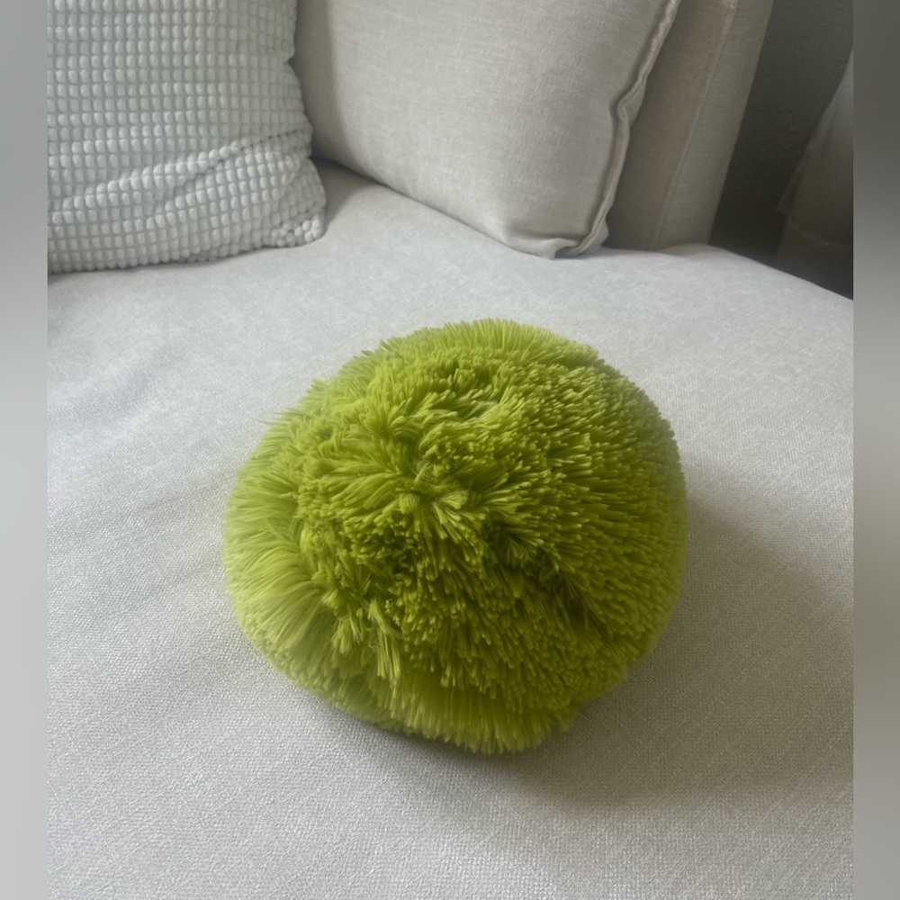 Throw Pillow
